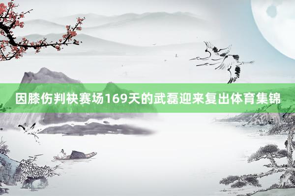 因膝伤判袂赛场169天的武磊迎来复出体育集锦