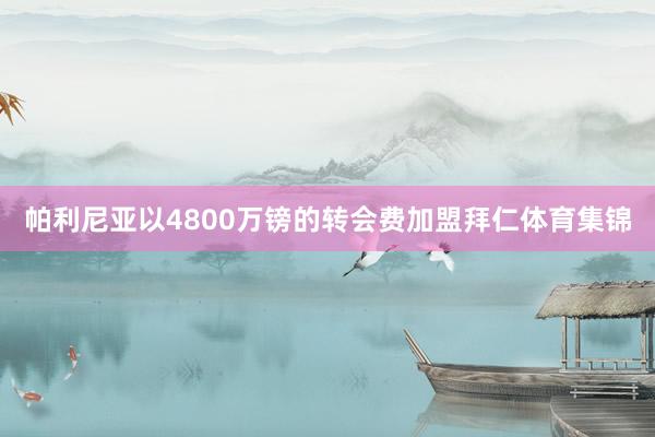 帕利尼亚以4800万镑的转会费加盟拜仁体育集锦