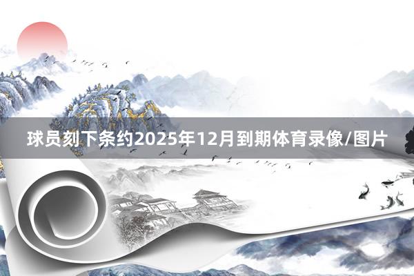 球员刻下条约2025年12月到期体育录像/图片