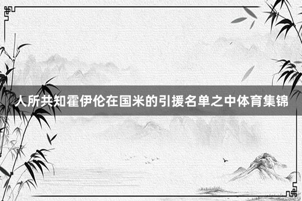 人所共知霍伊伦在国米的引援名单之中体育集锦