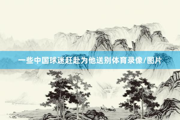 一些中国球迷赶赴为他送别体育录像/图片