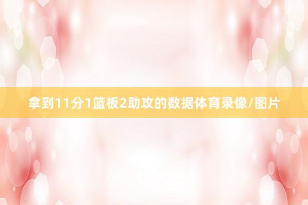 拿到11分1篮板2助攻的数据体育录像/图片
