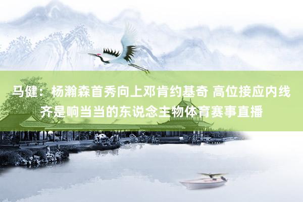 马健：杨瀚森首秀向上邓肯约基奇 高位接应内线齐是响当当的东说念主物体育赛事直播