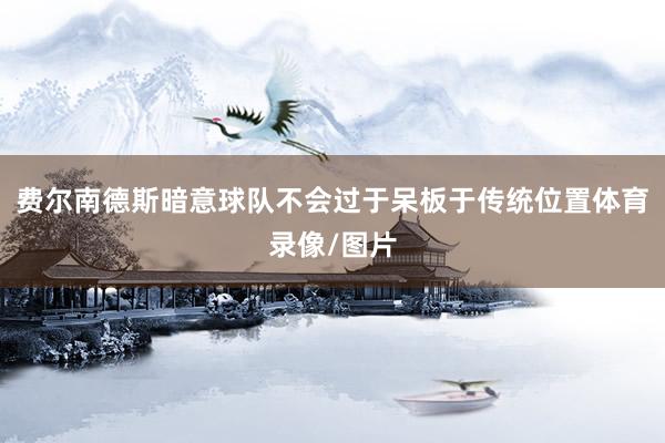 费尔南德斯暗意球队不会过于呆板于传统位置体育录像/图片