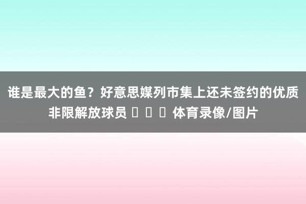谁是最大的鱼？好意思媒列市集上还未签约的优质非限解放球员 ​​​体育录像/图片