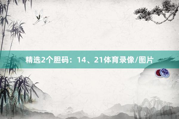 精选2个胆码：14、21体育录像/图片