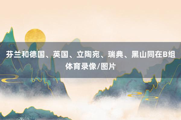 芬兰和德国、英国、立陶宛、瑞典、黑山同在B组体育录像/图片