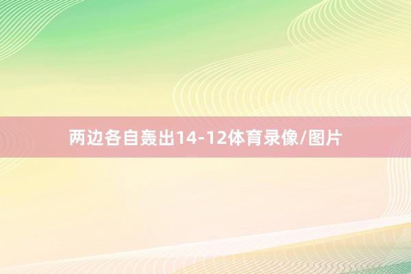两边各自轰出14-12体育录像/图片