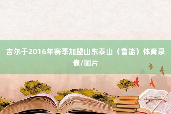 吉尔于2016年赛季加盟山东泰山（鲁能）体育录像/图片