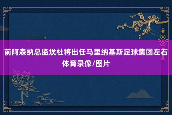 前阿森纳总监埃杜将出任马里纳基斯足球集团左右体育录像/图片