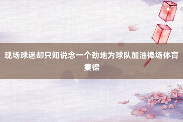 现场球迷却只知说念一个劲地为球队加油捧场体育集锦
