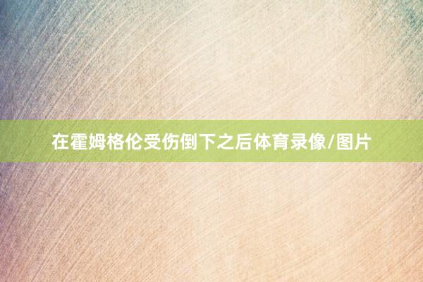 在霍姆格伦受伤倒下之后体育录像/图片