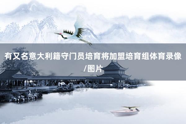 有又名意大利籍守门员培育将加盟培育组体育录像/图片