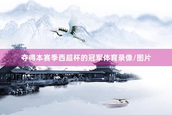 夺得本赛季西超杯的冠军体育录像/图片