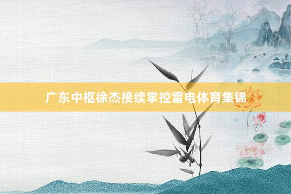广东中枢徐杰接续掌控雷电体育集锦