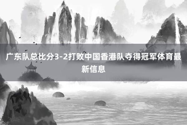 广东队总比分3-2打败中国香港队夺得冠军体育最新信息