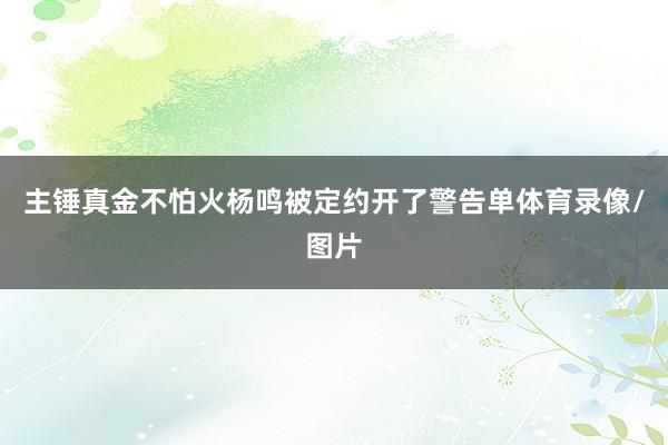 主锤真金不怕火杨鸣被定约开了警告单体育录像/图片