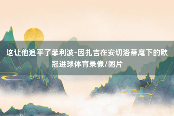 这让他追平了菲利波-因扎吉在安切洛蒂麾下的欧冠进球体育录像/图片