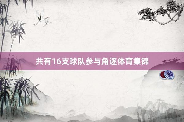 共有16支球队参与角逐体育集锦