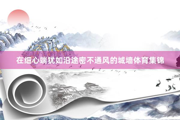 在细心端犹如沿途密不通风的城墙体育集锦