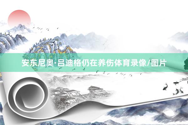 安东尼奥·吕迪格仍在养伤体育录像/图片