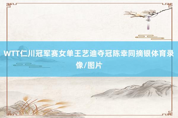 WTT仁川冠军赛女单王艺迪夺冠陈幸同摘银体育录像/图片