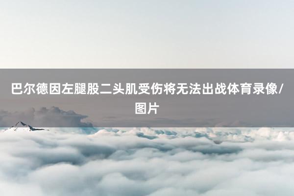 巴尔德因左腿股二头肌受伤将无法出战体育录像/图片