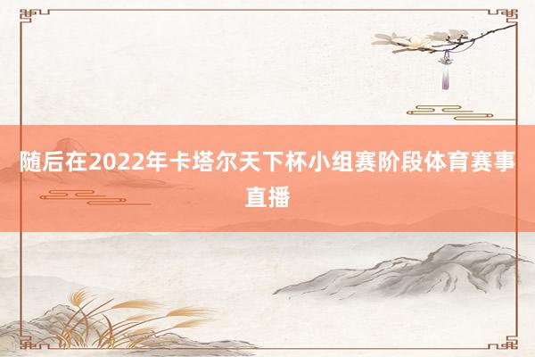 随后在2022年卡塔尔天下杯小组赛阶段体育赛事直播