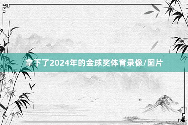 拿下了2024年的金球奖体育录像/图片