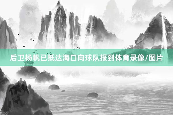 后卫杨帆已抵达海口向球队报到体育录像/图片